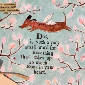 Meet your Posher, Denise